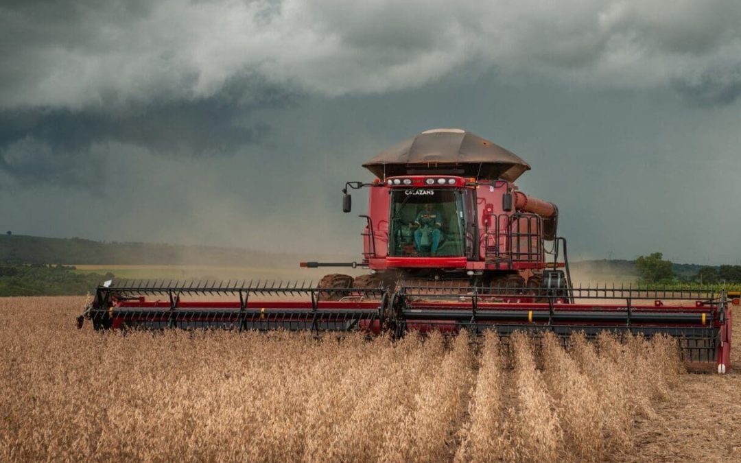 PIB de Goiás cresce 7,7% no acumulado do ano em 2025